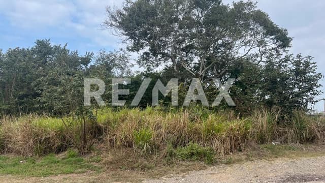 Terreno en Venta Pueblo Viejo, Ver.