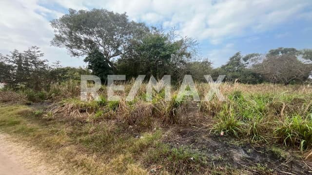 Terreno en Venta Pueblo Viejo, Ver.