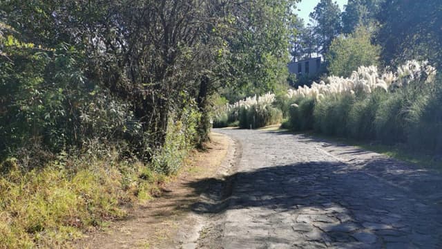 Terreno en venta.