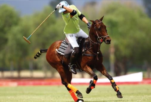 BALVANERA POLO & COUNTRY CLUB NATURA 