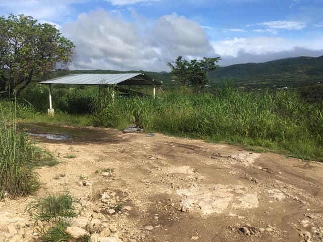 Predio rustico denominado "Guadalupe"