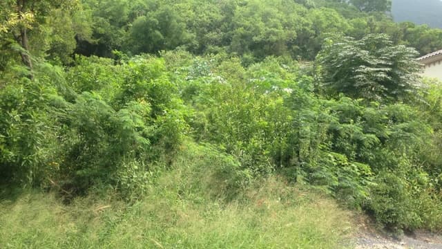 Venta Terreno en La Herradura Monterrey Nuevo León 1045