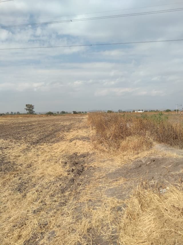 TERRENO EN VENTA EN ELGUERA