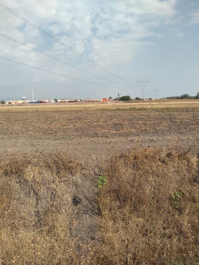TERRENO EN VENTA EN ELGUERA