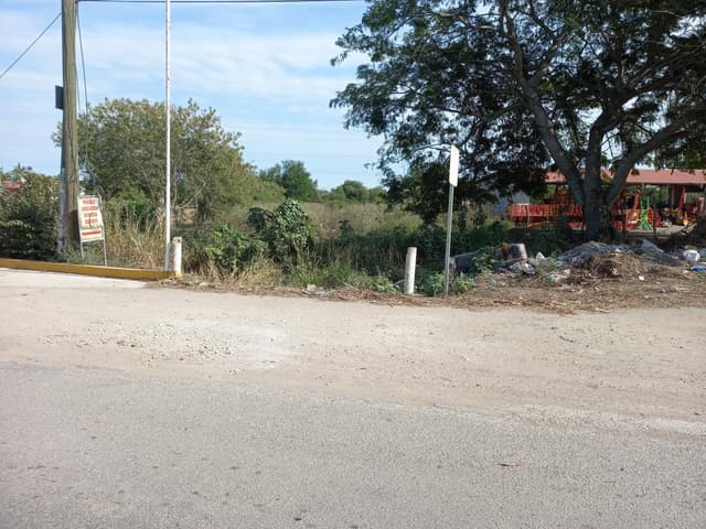 Terreno en Venta, Ejido Buena Vista, Panuco