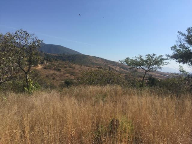 TERRENO EN VENTA EN GUADALUPE VICTORIA