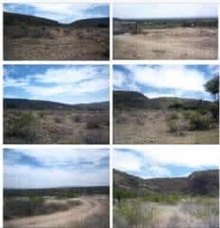 TERRENO VENTA SAN LORENZO