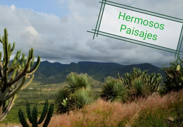 TERRENO VENTA PEDRO ESCOBEDO