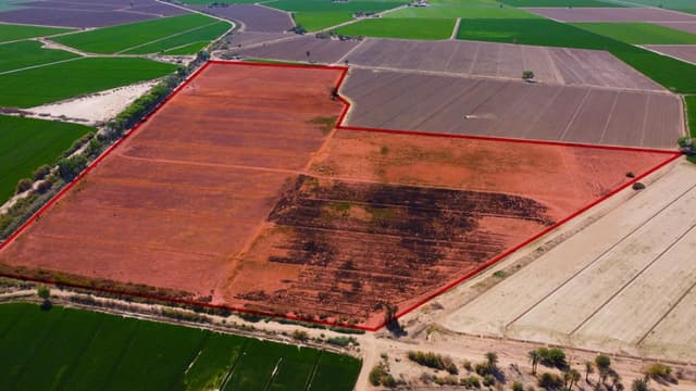 EXCELENTE TERRENO PARA SIEMBRA DE HORTALIZAS EN VENTA