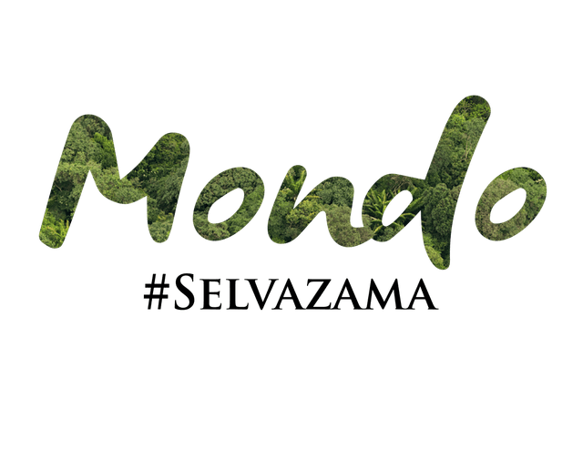 MONDO SELVA ZAMA