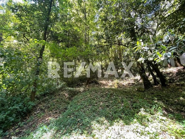 Terreno en venta.
