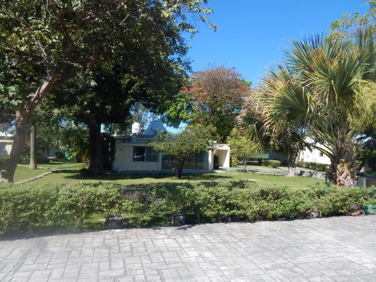 Fotos adicionales