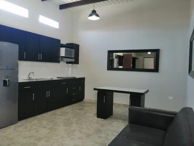 Departamentos en renta amueblados céntricos, aceptamos mascotas