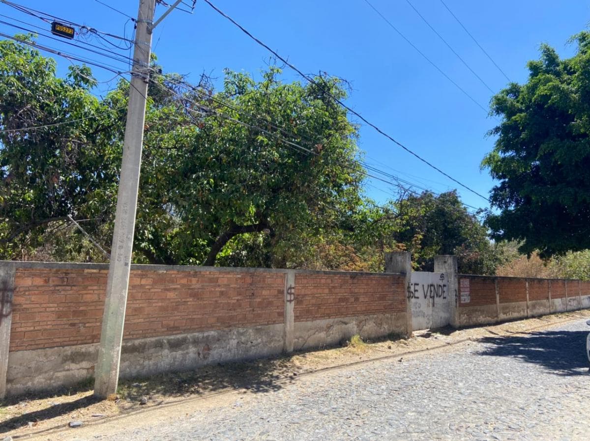 Fotos adicionales