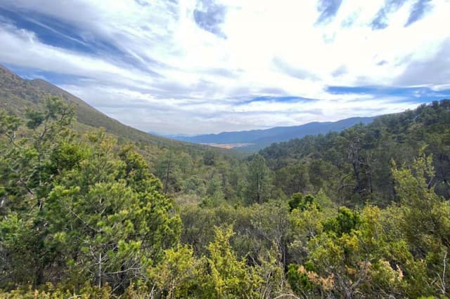 Terreno en Venta - 5