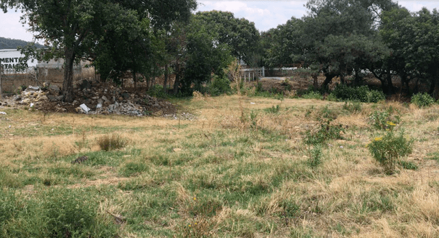 Terreno en venta.