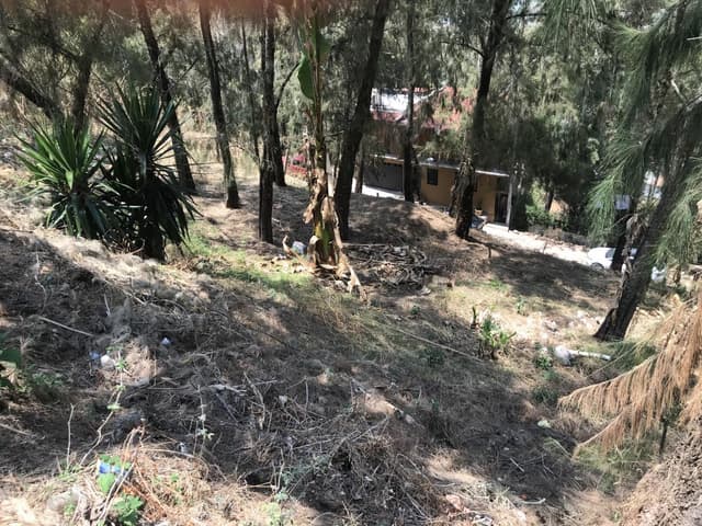 Terreno en venta.