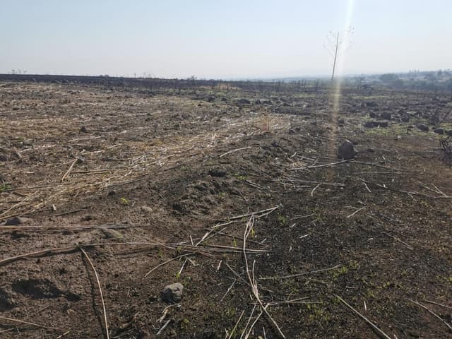 Excelente terreno por Toluquilla  de 40,696.54 m2  a 600 metros de Adolf Horn 