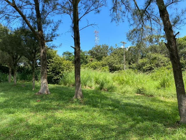 Excelente terreno en venta 