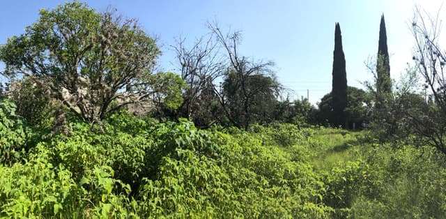 Atención inversionistas terreno en venta