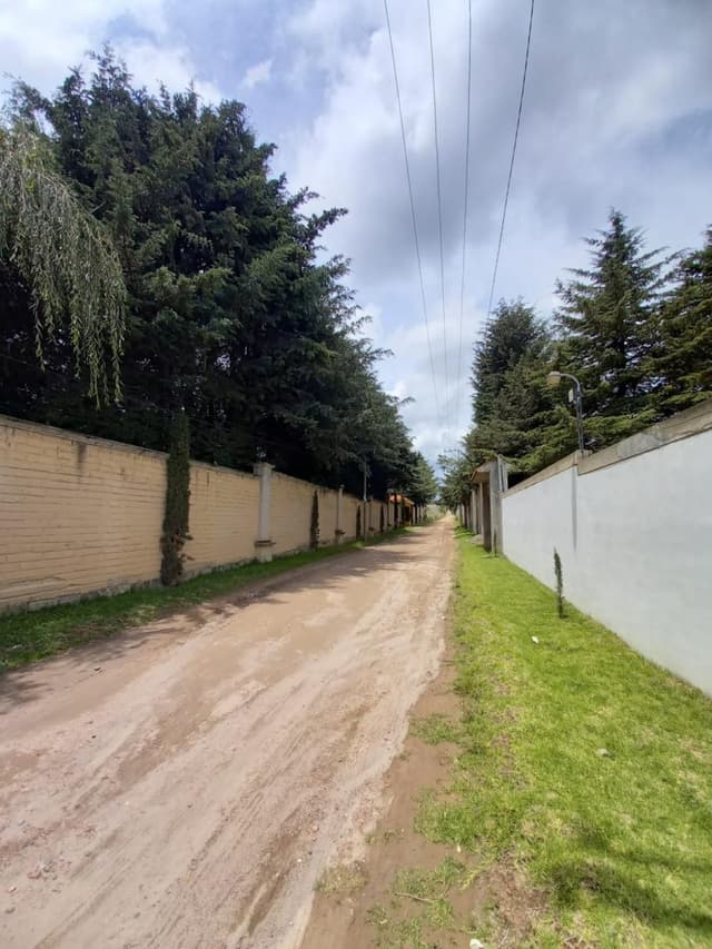 LOTES EN VENTA EN CACALOMACAN