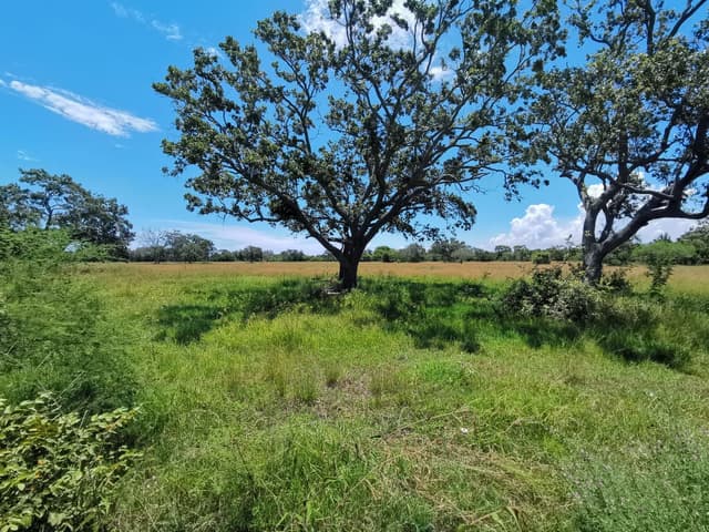 Excelente terreno en venta 