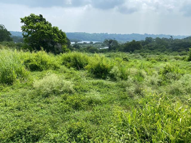 Excelente terreno en venta 