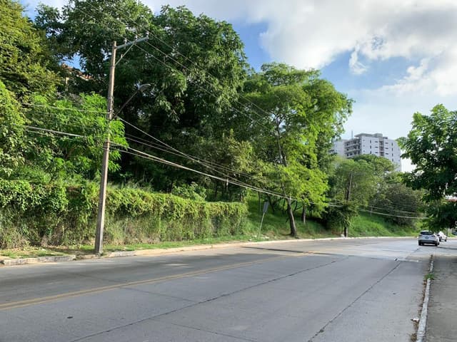 Terreno en Renta Lomas de Rosales
