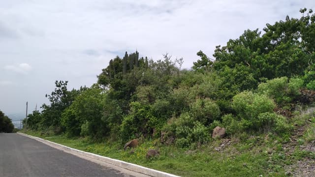 Terreno en venta Lomas del Pedregal