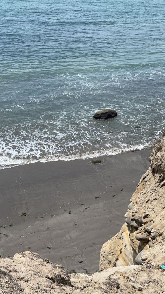 TERRENO COMERCIAL EN ENSENADA