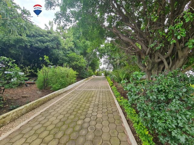 Venta de terreno, Carretera Oaxtepec-Cocoyoc, Morelos…Clave 3656