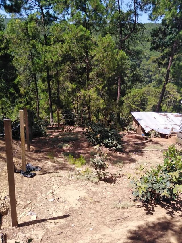 Terreno en Venta en La Garita