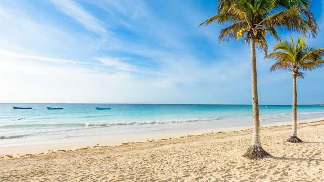 Terreno gran oportunidad mejor zona de Tulum
