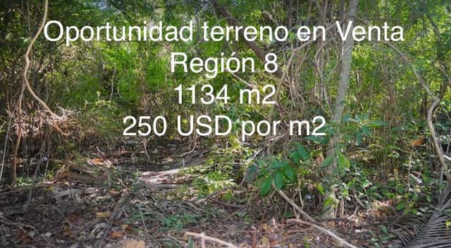 Terreno Región 8 Oportunidad de Inversión