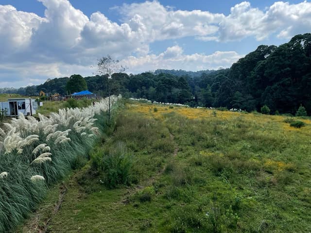 Terreno en Venta