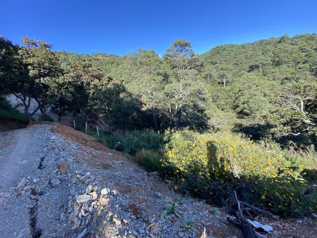 Terreno en venta