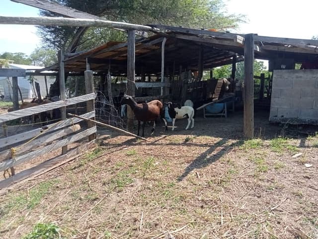 Terreno en venta