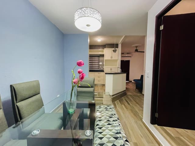 HERMOSO APARTAMENTO CONVENIENTEMENTE UBICADO EN CENTRO                            