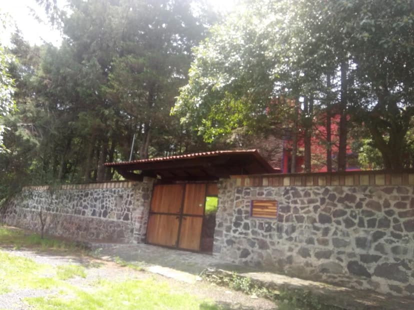 Gallery main