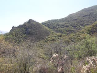 Terreno en Venta en El Barrial, Santiago, N.L. – 1251