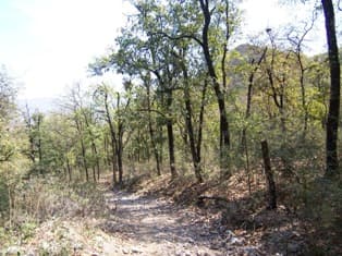 Terreno en Venta en El Barrial, Santiago, N.L. – 1251