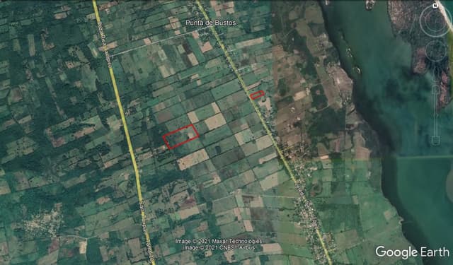 Terreno en Venta, Alto de la Zapuera, Tampico Alto