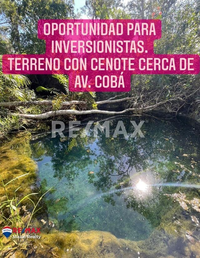 Land with cenote opportunity for investors 