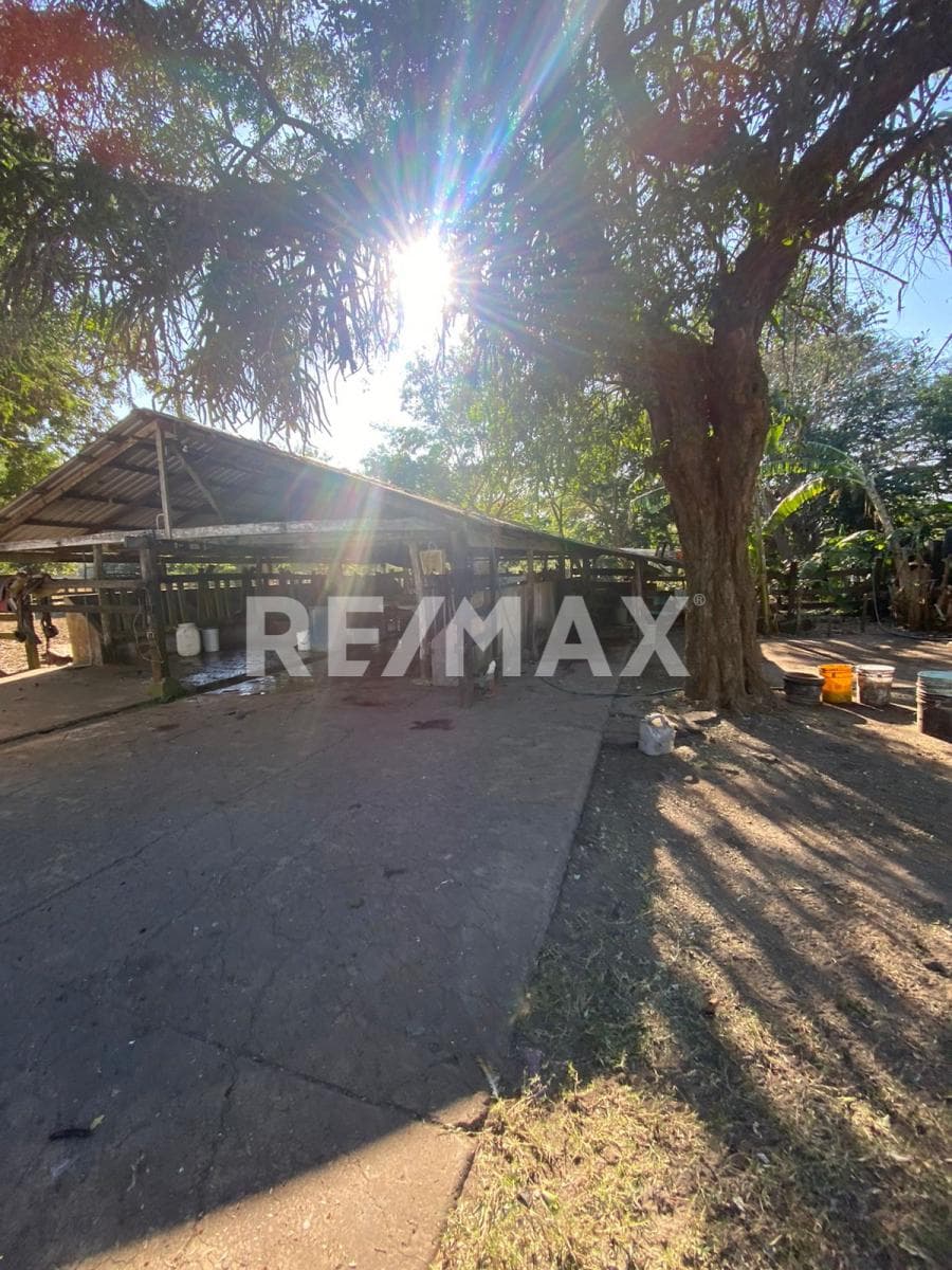 Fotos adicionales