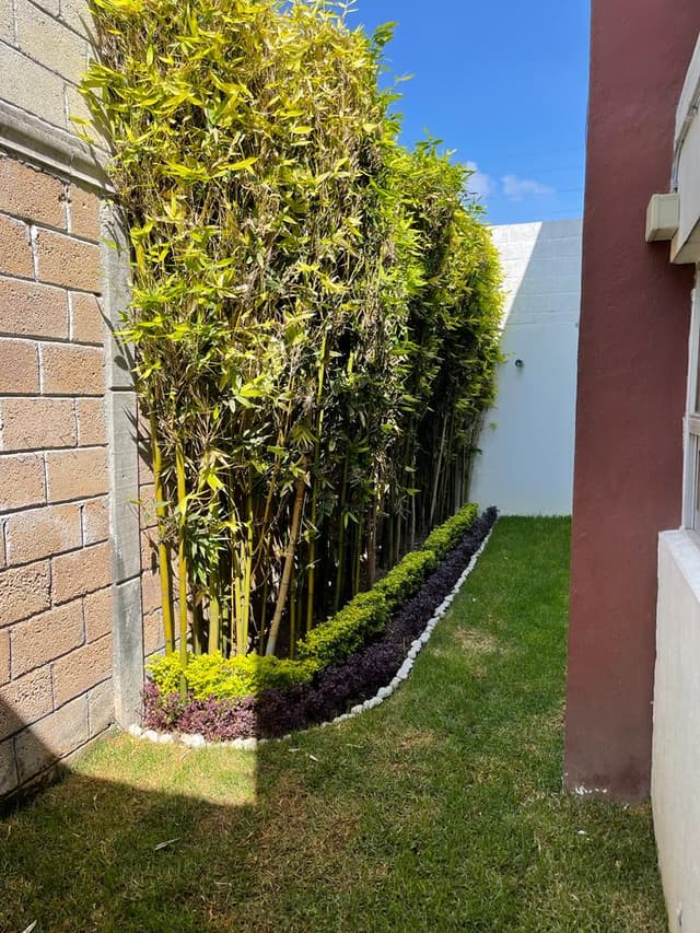 Casa en Venta en Fraccionamiento La Alfonsina