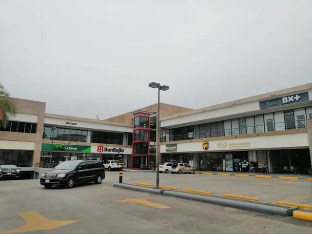 Locales en Renta en Plaza Dorada, Tampico