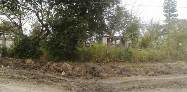 Terreno en Venta, Nuevo Madero, Altamira