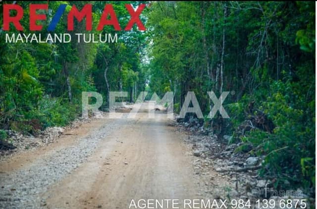 TERRENOS EN LA ZONA DE CHEMUYIL