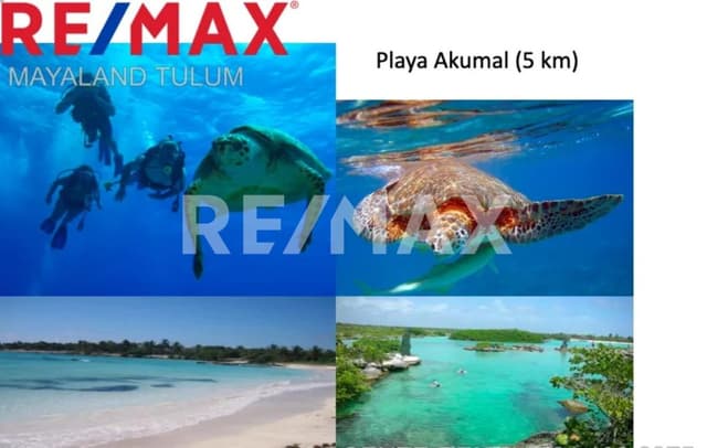 TERRENOS EN LA ZONA DE CHEMUYIL