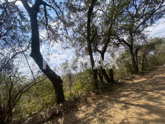 Excelente Terreno en Venta 